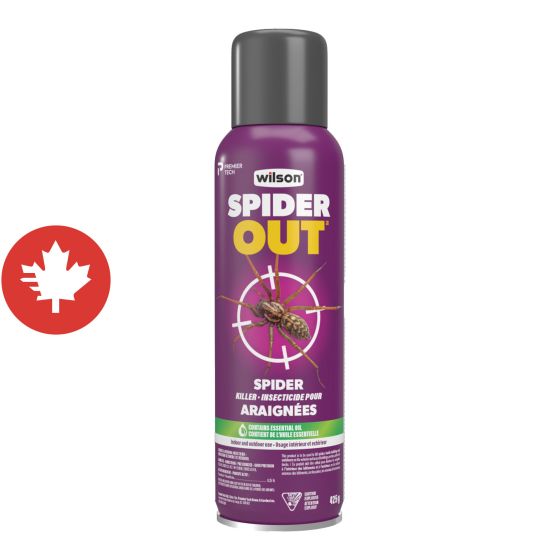 Araignicide ONE SHOT