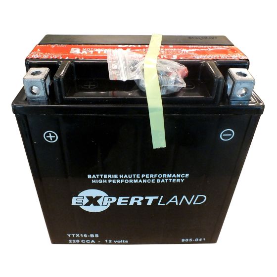 220A replacement battery