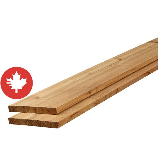 Western Red Cedar - 1" x 6" x 8'