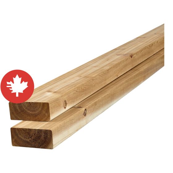 Western Red Cedar - 2" x 4" x 10'