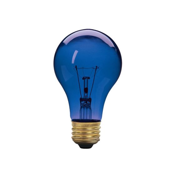 Ampoule fête, incandescente, A19, 60 W, bleu
