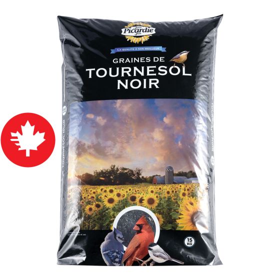 Graines de tournesol noir pour oiseaux sauvages, 15 kg