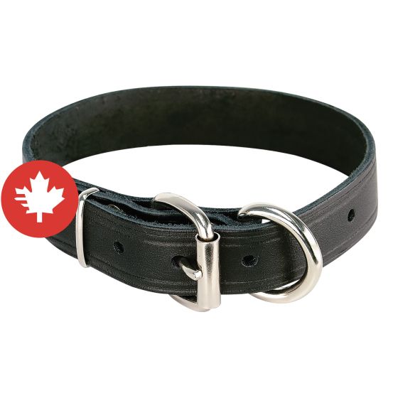 Single Collar - Black - 1" x 22"