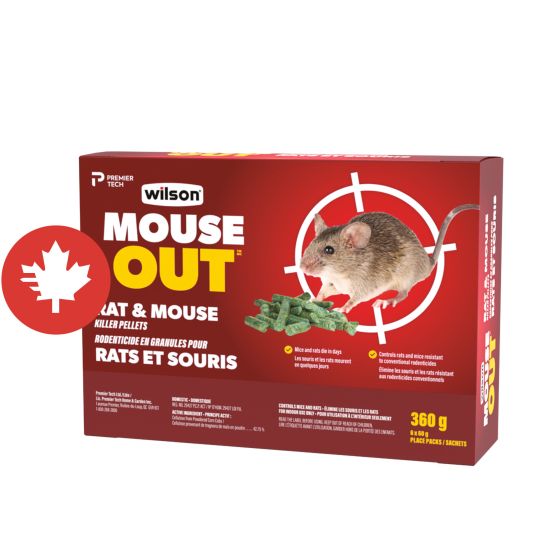 Pastilles de rodenticide pour rats et souris PREDATOR