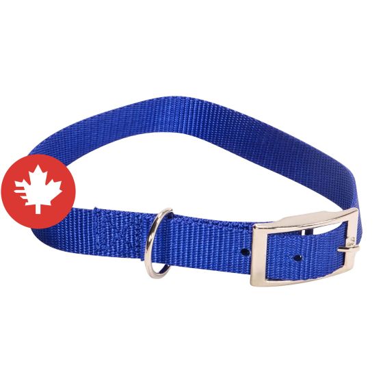 Single Dog Collar - Blue - 1" x 24"