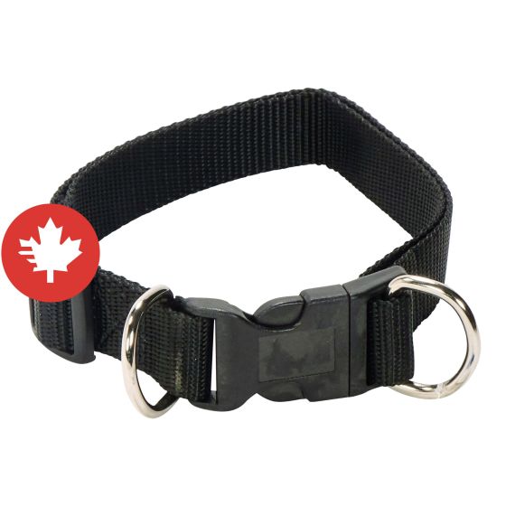 Adjustable Nylon Dog Collar - Black - 1" x 16" to 26"