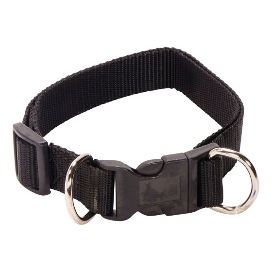 Collier à chien ajustable en nylon, noir, 1" x 16" à 26"