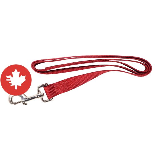 Simple Leash - Red - 1" x 48"
