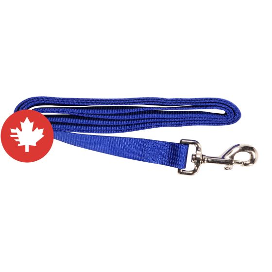 Simple Leash - Blue - 1" x 72"