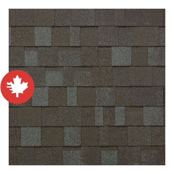 Bardeau d'asphalte, Dynasty