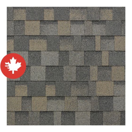 Bardeau d'asphalte, Dynasty, Biscayne