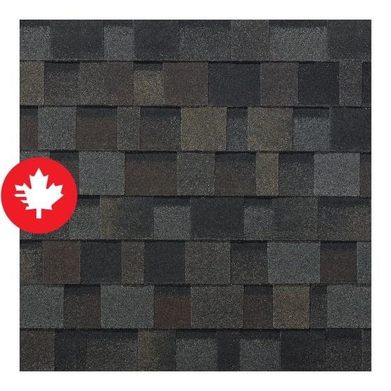 Dynasty, Asphalt Shingle, Glacier