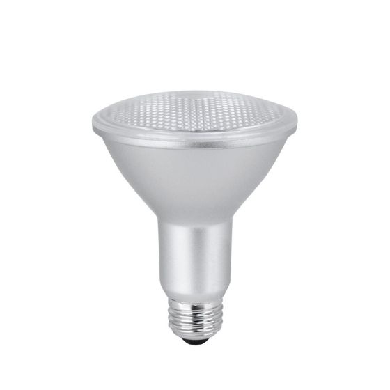 Ampoule DEL PAR30, lumière du jour, 11 W