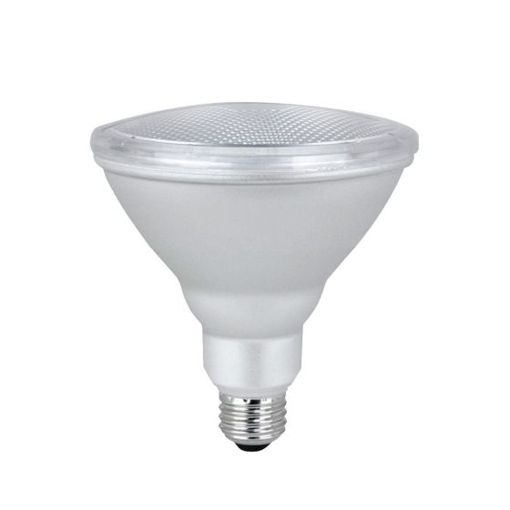 Ampoule DEL, PAR38, lumière du jour, 18,5 W