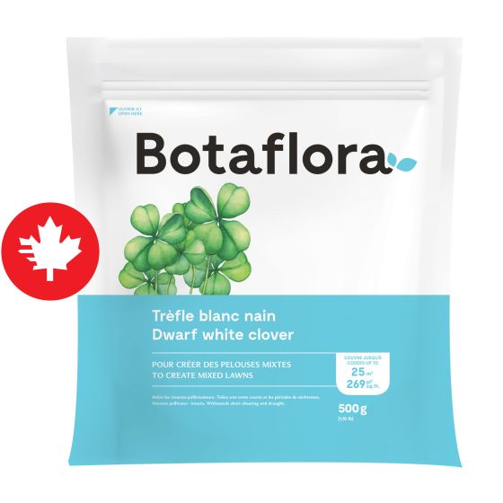 Trèfle blanc nain, 500 g