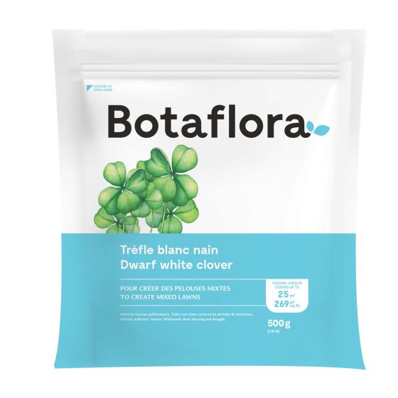 Trèfle blanc nain, 500 g