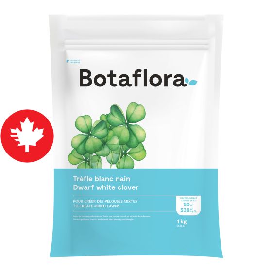 Trèfle blanc nain, 1 kg
