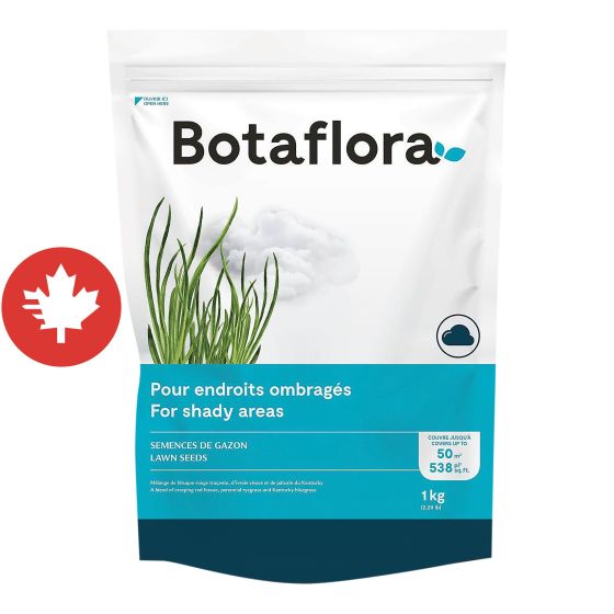 Semences de gazon mélange ombre, 1 kg