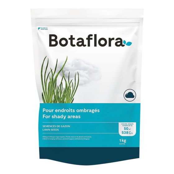 Semences de gazon mélange ombre, 1 kg