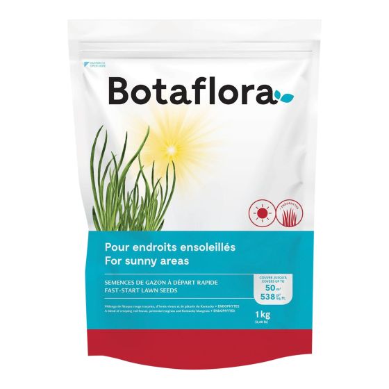 Semences de gazon à départ rapide, 1 kg