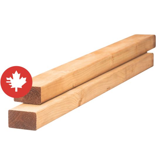 Treated Wood - Brown - 2" x 3" x 8'