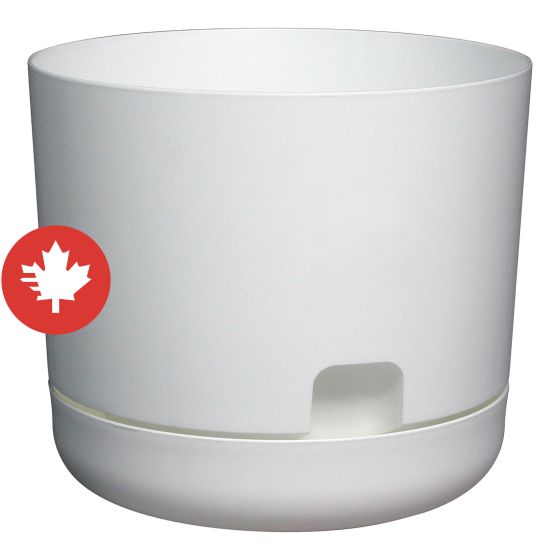 Self-Watering Oasis Planter - White - 12"