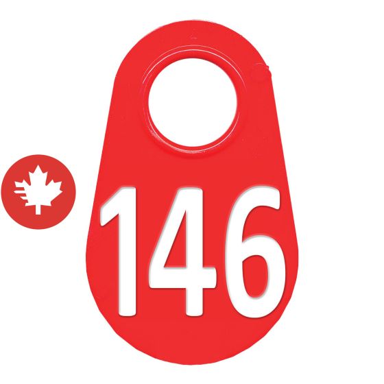 Étiquette d'identification pour le cou #146