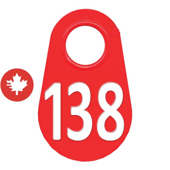 Étiquette d'identification pour le cou #138