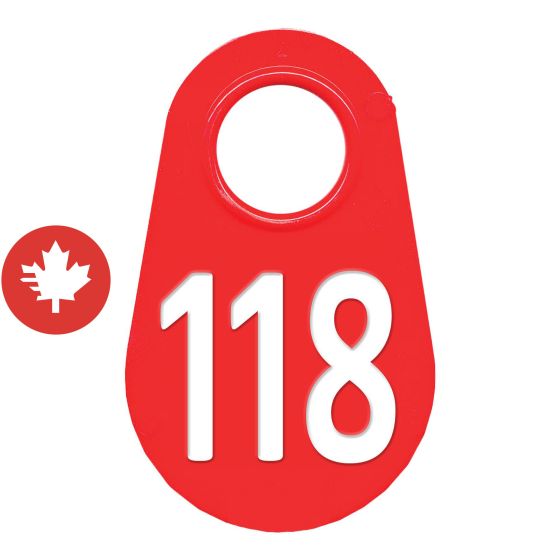 Étiquette d'identification pour le cou #118