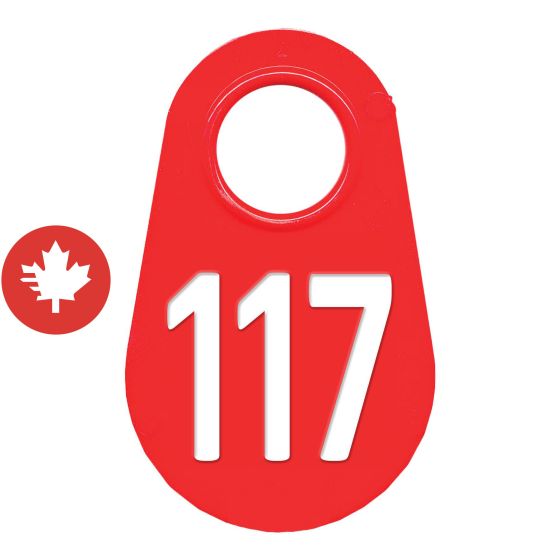 Étiquette d'identification pour le cou #117
