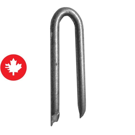 Hot Galvanized Staple - 1 3/4" - 50 lb