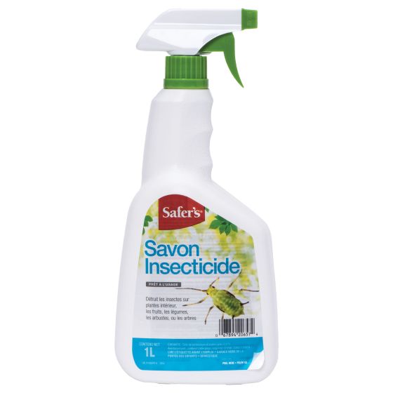 Savon insecticide