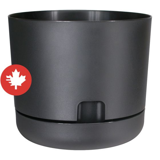 Self-Watering Oasis Planter - Black - 6"