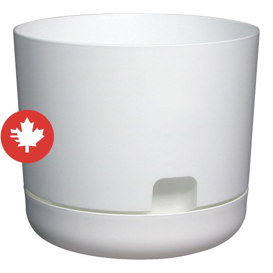 Self-Watering Oasis Planter - White - 8"