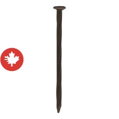 Clous vrillés pour revêtement CanExel, 2", Moka foncé