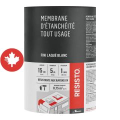 Membrane d'étanchéité tout usage, blanc laqué, 6" x 16'