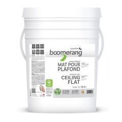 Boomerang Recycled Paint - Ceiling Flat - Moonlight- White - 18.9 l