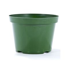 Pot de production pour semis en plastique, 10", vert