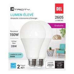 LED Bulbs - A21 - 150 W - Daylight - 2/Pkg