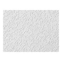 Tuile de plafond, Tabaret, 2’ x 4’, 12/pqt