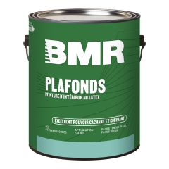 Interior Latex Ceiling Paint - 3.78 L