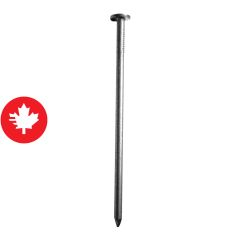 Clous communs galvanisés à chaud, 2 1/2", 75/pqt