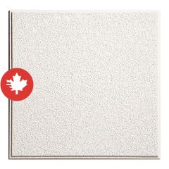 Tuile de plafond, Alpine, 2' x 2', 16/pqt, couvre 64 pi²
