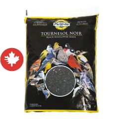 Graines de tournesol noir pour oiseaux sauvages, 2 kg