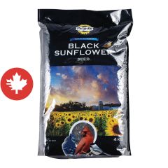 Graines de tournesol noir pour oiseaux sauvages, 4 kg