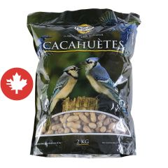 Cacahuètes pour oiseaux sauvages