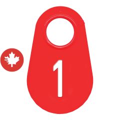 Étiquette d'identification pour le cou #1