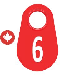 Étiquette d'identification pour le cou #6