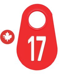 Étiquette d'identification pour le cou #17