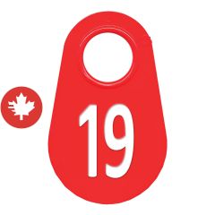 Étiquette d'identification pour le cou #19